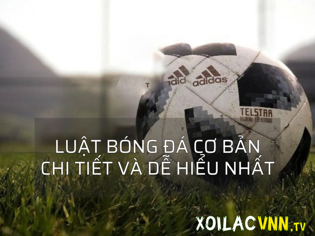 luat-bong-da-co-ban